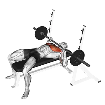 Barbell Guillotine Bench Press