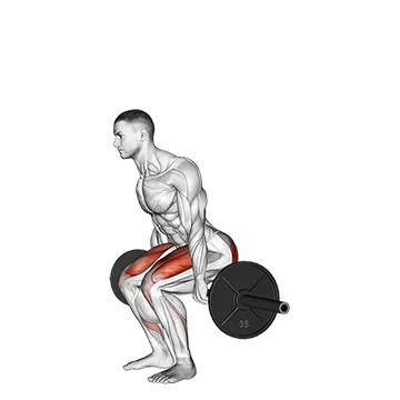 Barbell Hack Squat
