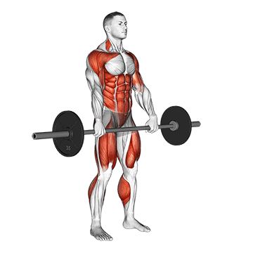 Barbell Hang Clean - Exclusive get you ultimate Strength for Deltoids