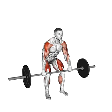 Barbell Hang Power Clean - Exclusive get you ultimate Strength for Deltoids