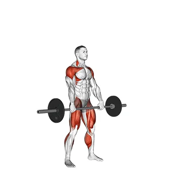 Barbell Hang Snatch - Exclusive get you ultimate Strength for Deltoids