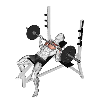 Barbell Incline Bench Press