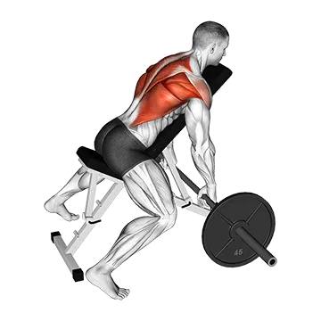Barbell Incline Row - Exclusive get you ultimate Strength for Latissimus Dorsi
