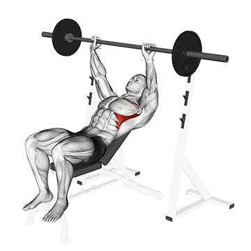Barbell Incline Shoulder Raise - Exclusive get you ultimate Strength for Deltoids from X health blend   Animated Exercise  Library