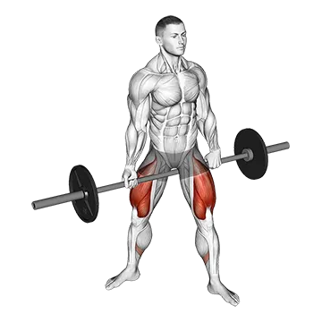 Barbell Jefferson Squat - Exclusive get you ultimate Strength for Quadriceps