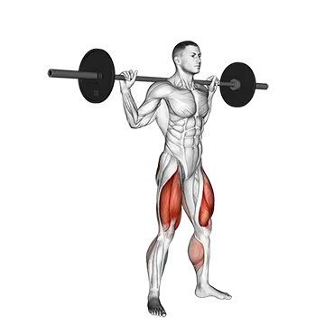 Barbell Jump Squat - Exclusive get you ultimate Strength for Quadriceps