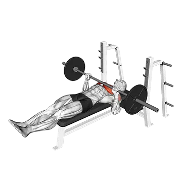 Barbell Larsen Press - Exclusive get you ultimate Strength for Pectoralis from X health blend   Animated Exercise  Library
