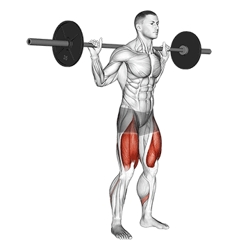 Barbell Low Bar Squat - Exclusive get you ultimate Strength for Quadriceps