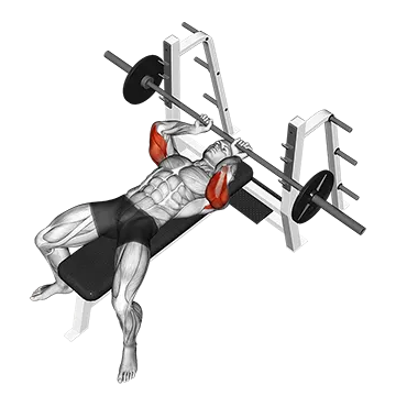 Barbell Lying Extension - Exclusive get you ultimate Strength for Triceps from X health blend   Animated Exercise  Library