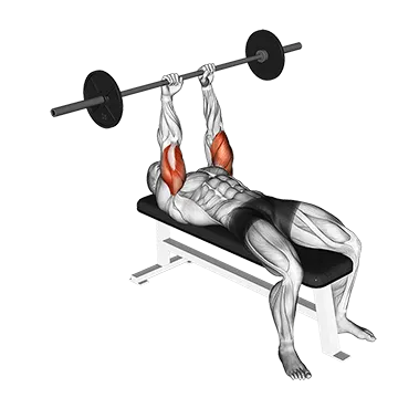 Barbell Lying Triceps Extension