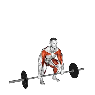 Barbell Muscle Clean - Exclusive get you ultimate Strength for Deltoids