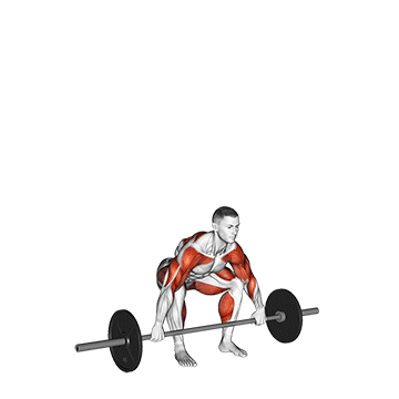 Barbell Muscle Snatch - Exclusive get you ultimate Strength for Deltoids