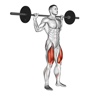 Barbell Narrow Stance Squat - Exclusive get you ultimate Strength for Quadriceps