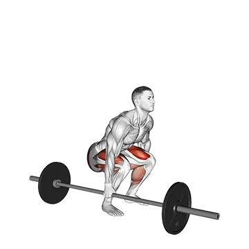 Barbell One Arm Side Deadlift - Exclusive get you ultimate Strength for Obliques