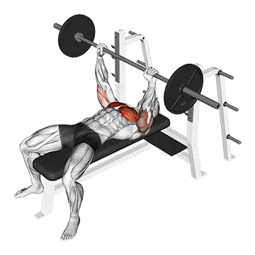 Barbell Pause Bench Press