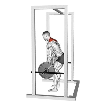 Barbell Power Shrug