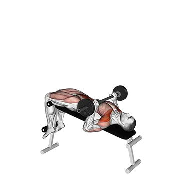 Barbell Press Sit Up - Exclusive get you ultimate Strength for Rectus Abdominis from X health blend   Animated Exercise  Library
