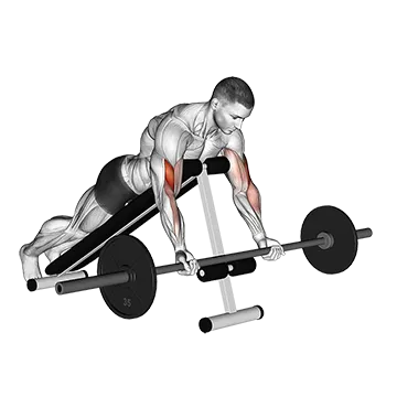 Barbell Prone Incline Curl - Exclusive get you ultimate Strength for Biceps from X health blend   Animated Exercise  Library
