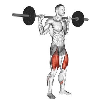 Barbell Quarter Squat