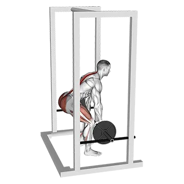 Barbell Rack Pull