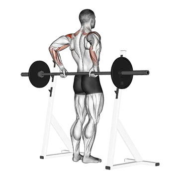 Barbell Rear Delt Raise - Exclusive get you ultimate Strength for Rear Deltoids from X health blend   Animated Exercise  Library