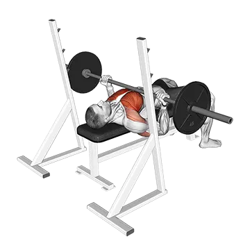 Barbell Reverse Grip Bench Press - Exclusive get you ultimate Strength for Pectoralis from X health blend   Animated Exercise  Library