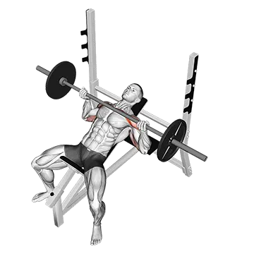 Barbell Reverse Grip Incline Bench Press - Exclusive get you ultimate Strength for Pectoralis from X health blend   Animated Exercise  Library