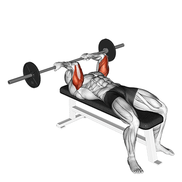 Barbell Reverse Grip Skullcrusher - Exclusive get you ultimate Strength for Triceps from X health blend   Animated Exercise  Library