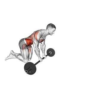 Barbell Rollout