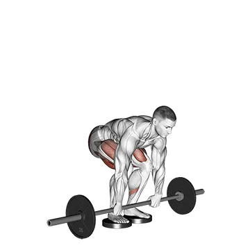 Barbell Romanian Deadlift from Deficit - Exclusive get you ultimate Strength for Hamstrings