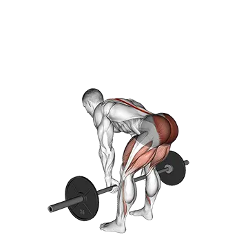 Barbell Romanian Deadlift