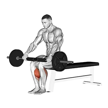 Barbell Seated Calf Raise