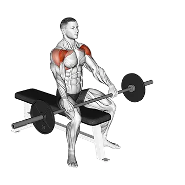 Barbell Seated Front Raise - Exclusive get you ultimate Strength for Anterior Deltoids from X health blend   Animated Exercise  Library