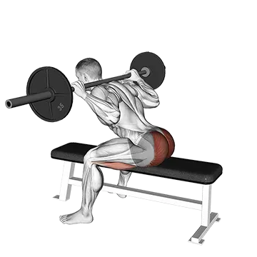 Barbell Seated Good Morning - Exclusive get you ultimate Strength for Hamstrings