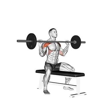 Barbell Seated Overhead Press