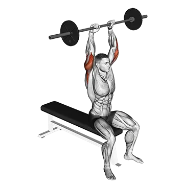 Barbell Seated Overhead Triceps Extension - Exclusive get you ultimate Strength for Triceps from X health blend   Animated Exercise  Library