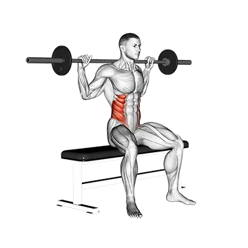 Barbell Seated Twist - Exclusive get you ultimate Strength for Obliques from X health blend   Animated Exercise  Library