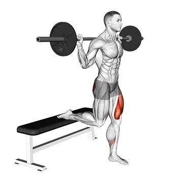 Barbell Single Leg Split Squat