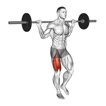 Barbell Single Leg Squat