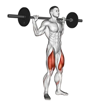 Barbell Speed Squat