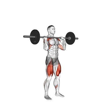 Barbell Squat