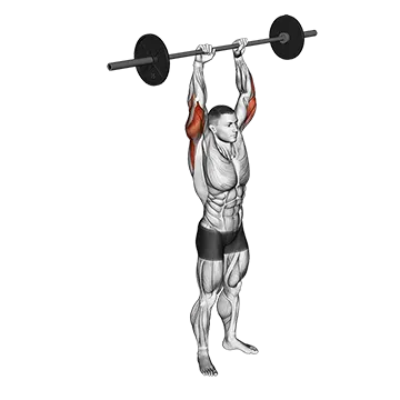 Barbell Standing Overhead Triceps Extension - Exclusive get you ultimate Strength for Triceps from X health blend   Animated Exercise  Library