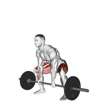 Barbell Sumo Deadlift - Exclusive get you ultimate Strength for Hamstrings