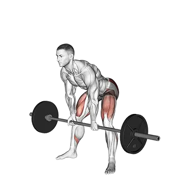 Barbell Sumo Romanian Deadlift - Exclusive get you ultimate Strength for Hamstrings