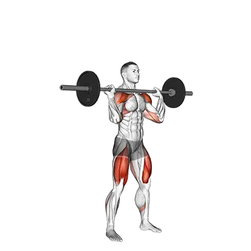 Barbell Thruster - Exclusive get you ultimate Strength for Quadriceps