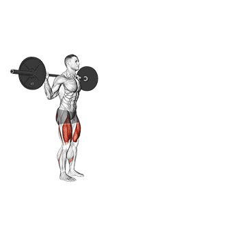 Barbell Walking Lunge - Exclusive get you ultimate Strength for Quadriceps