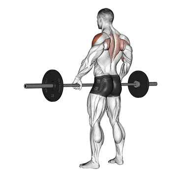 Barbell Wide Grip Upright Row - Exclusive get you ultimate Strength for Deltoids