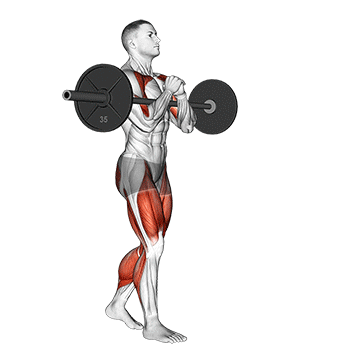 Barbell Zercher Carry