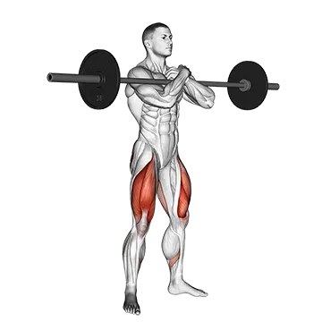 Barbell Zercher Squat