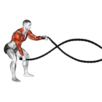 Battling Ropes - Exclusive get you ultimate Cardio for Arms